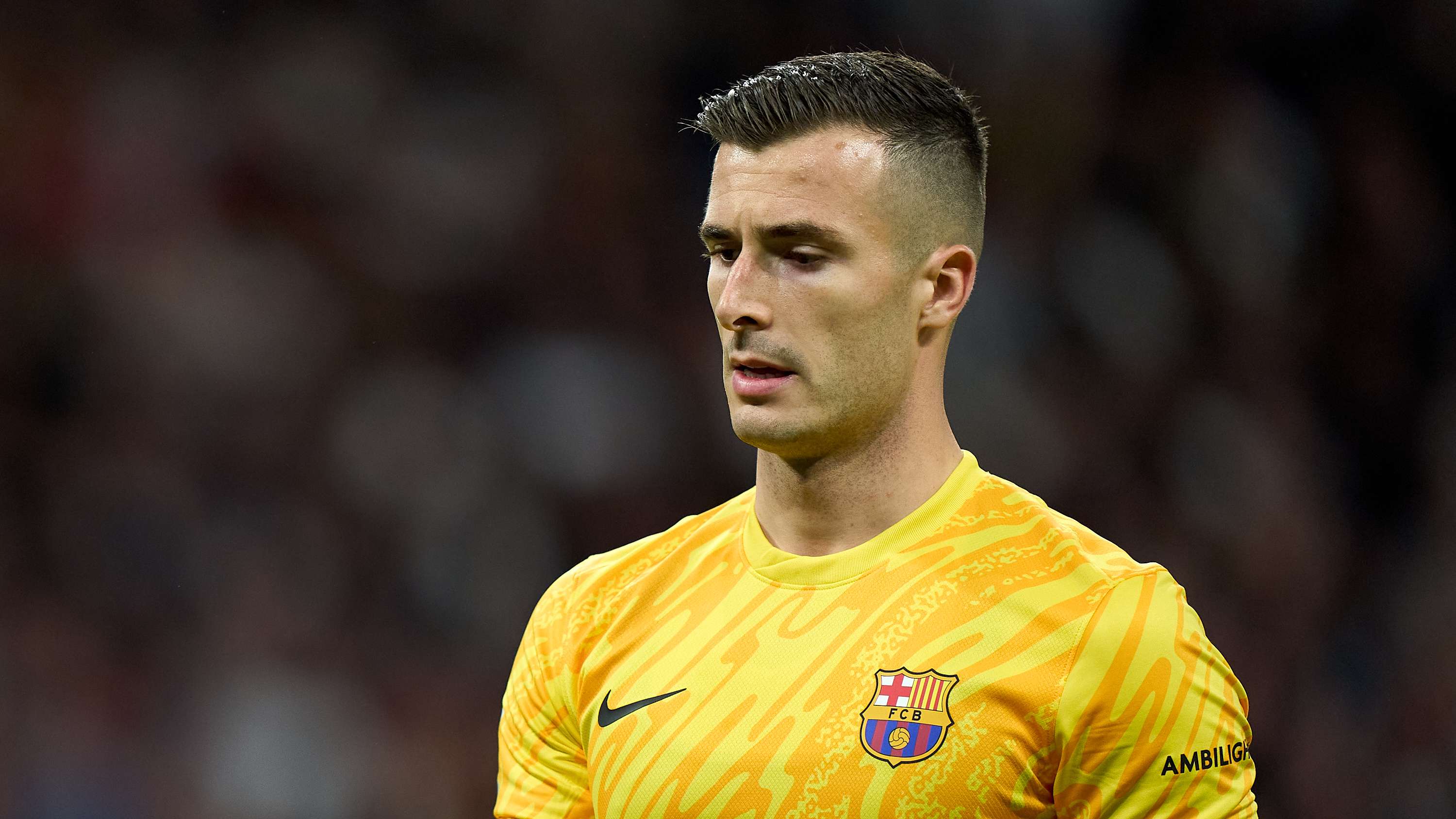 进行综合评 进行综合评